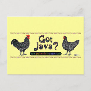 Got Java? Postkarte