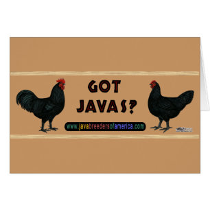 Got Javas?