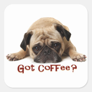 Got Kaffee? Mops-Aufkleber Quadratischer Aufkleber