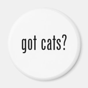 got Katzen? Magnet