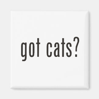 got Katzen? Magnet