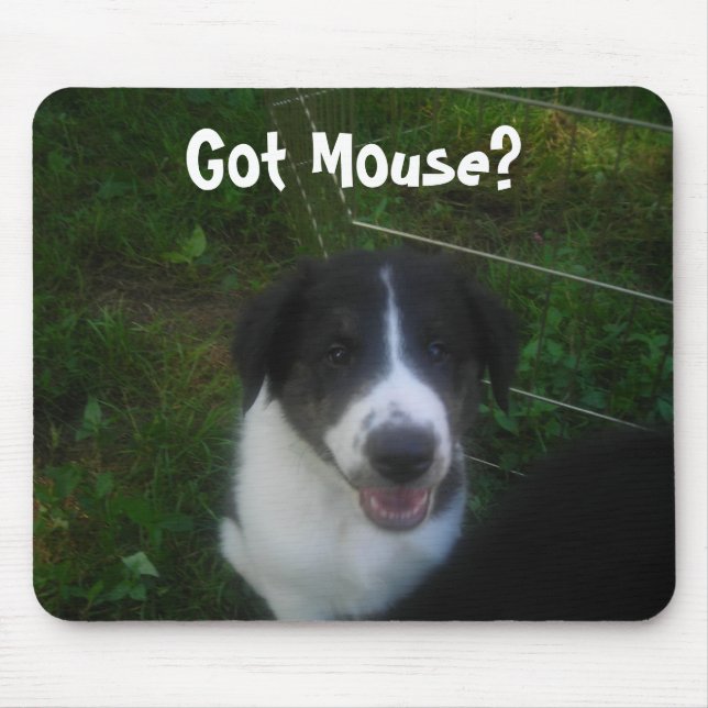 Got Maus? Mousepad (Vorne)