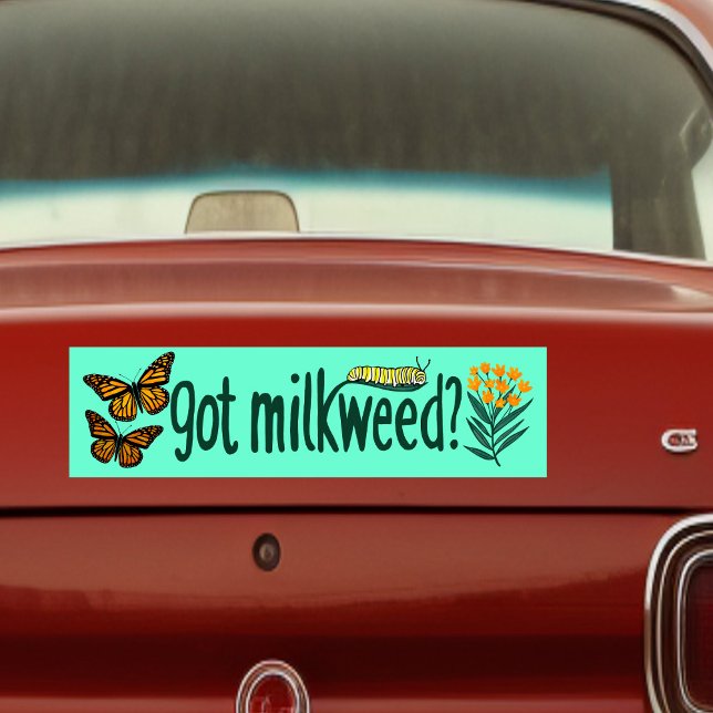 GOT MILKWEED? Monarch Butterfly Caterpillar Plants Autoaufkleber (GOT MILKWEED? Monarch Butterfly Caterpillar Plants Bumper Sticker
)