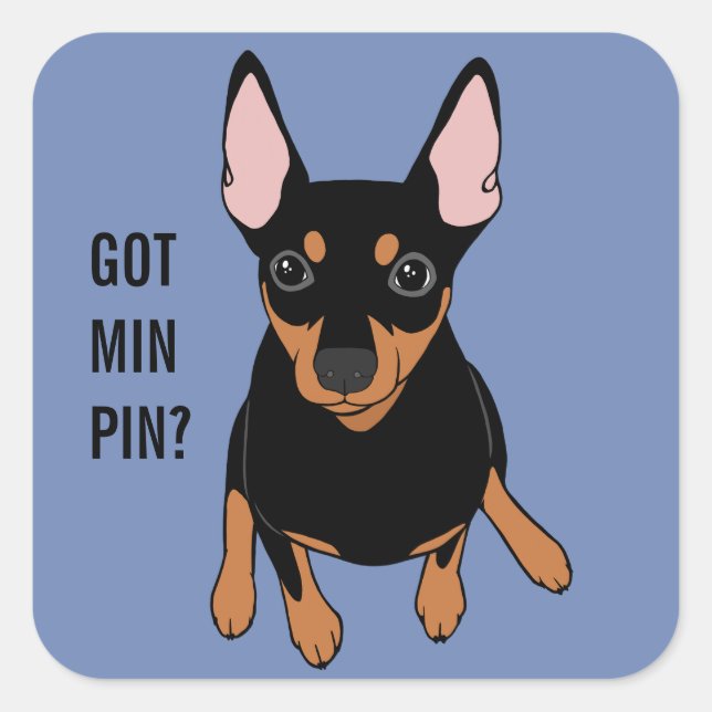 Got Min Button? Miniature Pinscher (Schwarz) Stick Quadratischer Aufkleber (Vorderseite)