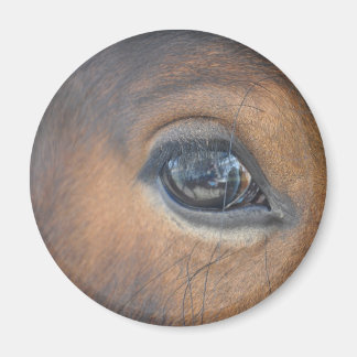 Got mir das Auge Magnet