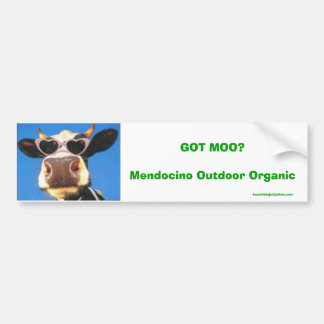 GOT MOO? Mendocino Bio im Freien Autoaufkleber