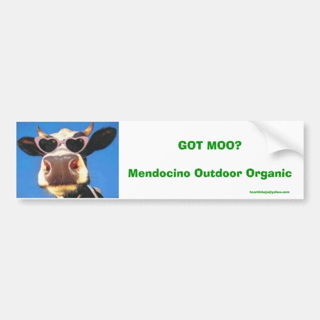 GOT MOO? Mendocino Bio im Freien Autoaufkleber (Vorne)
