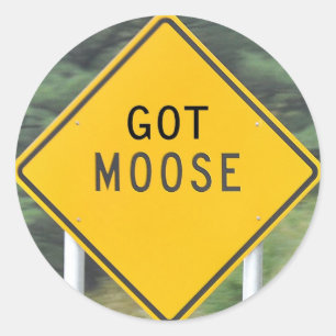 Got Moose - Aufkleber