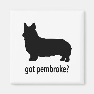 Got PembrokeCorgi Magnet