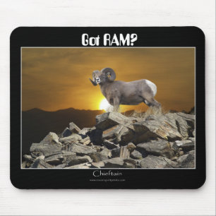Got RAM? Mousepad