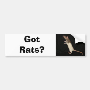 Got Ratten? , Got Ratten? Autoaufkleber