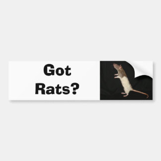 Got Ratten? , Got Ratten? Autoaufkleber