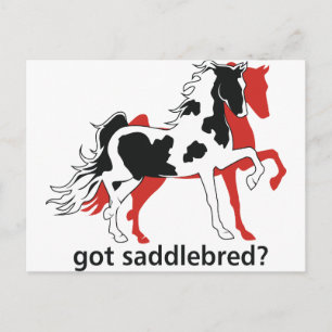 Got Saddlebred? Postkarte