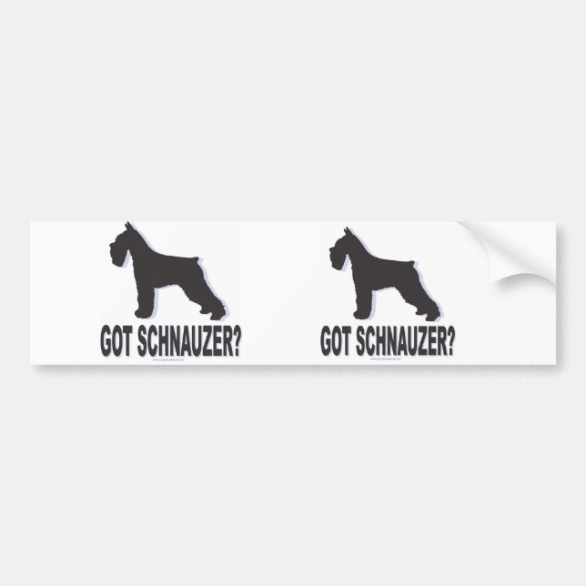 Got Schnauzer? Autoaufkleber (Vorne)