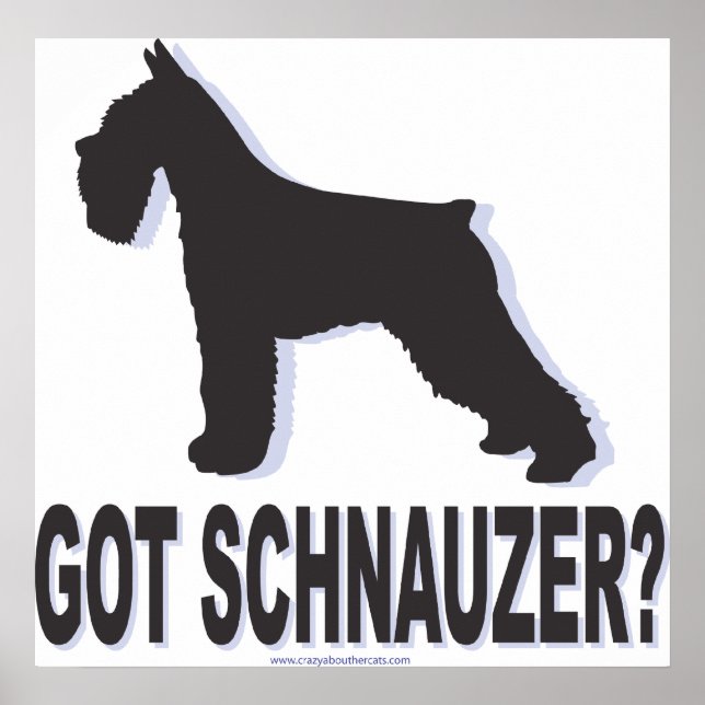 got schnauzer poster (Vorne)