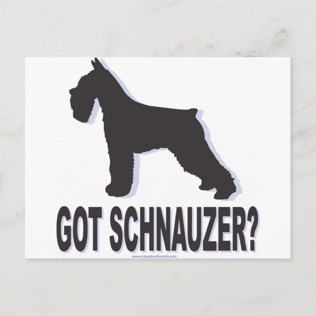 Got Schnauzer? Postkarte (Vorderseite)