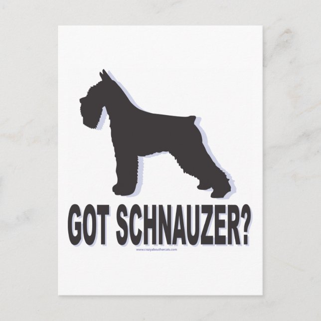 Got Schnauzer? Postkarte (Vorderseite)