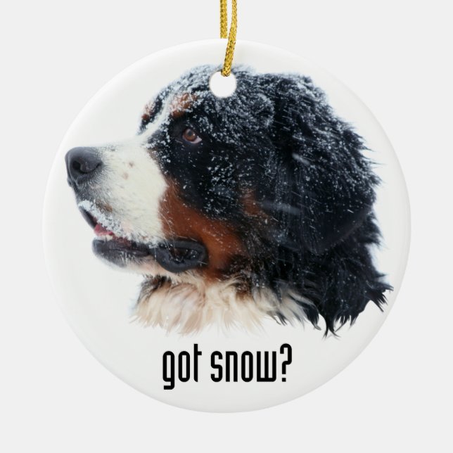 got Schnee? Bernese Gebirgshund Keramik Ornament (Vorne)