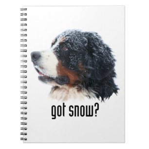 got Schnee? Bernese Gebirgshund Notizblock