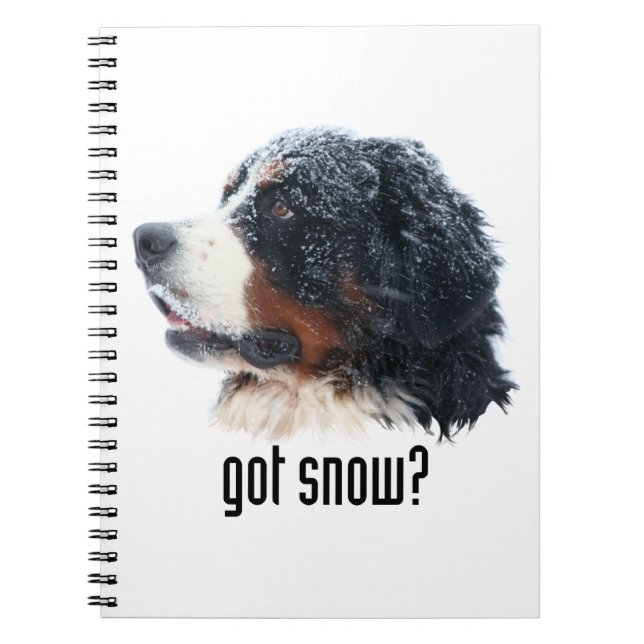 got Schnee? Bernese Gebirgshund Notizblock (Vorderseite)