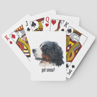 got Schnee? Bernese Gebirgshund Spielkarten