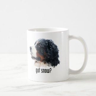 got Schnee? Bernese GebirgshundeTasse Tasse