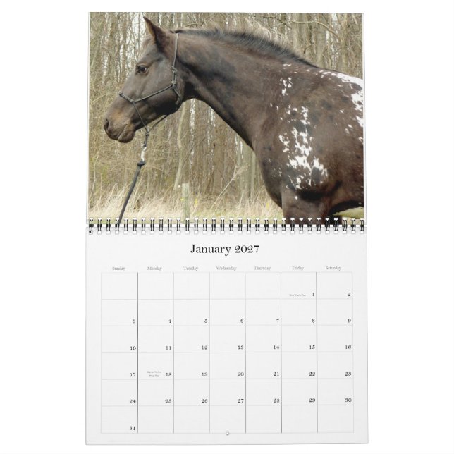 GOT SPOTS? APPALOOSA-KALENDER 2011 KALENDER (Jan 2027)
