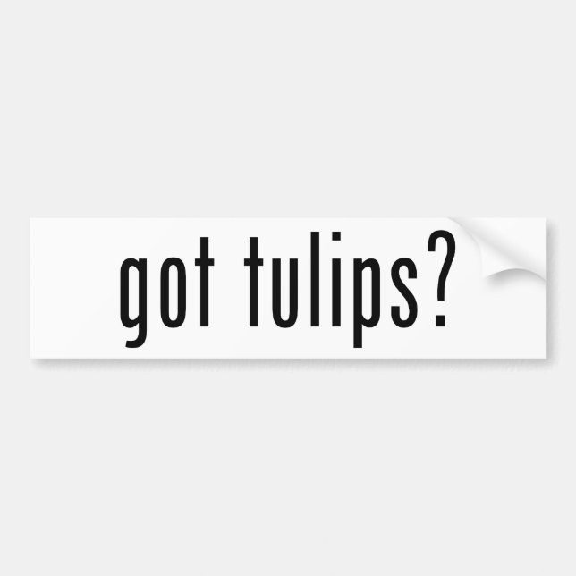 got Tulpen? Autoaufkleber (Vorne)