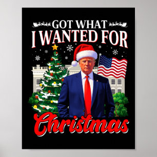 Got, was ich zu Weihnachten Gewollt Donald Trump 4 Poster