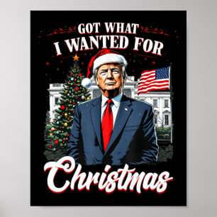 Got, was ich zu Weihnachten Trump 2024 Gewollt hab Poster
