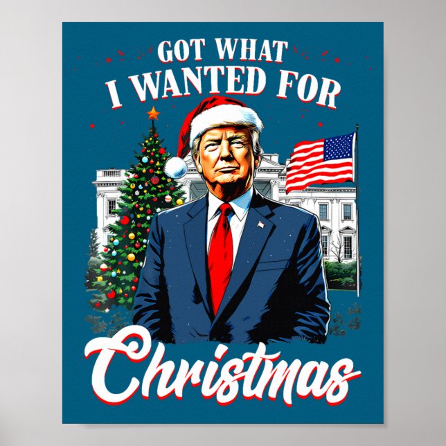 Got What I Wanted For Christmas Trump 2025 Long Sl Poster (Vorne)