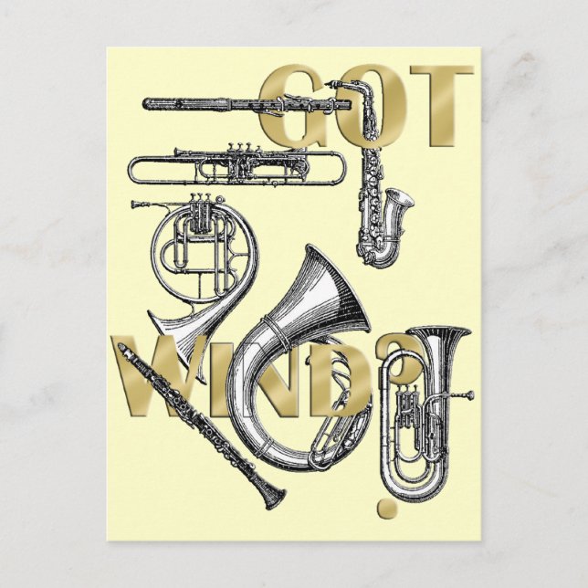 Got Wind Funny Wind Instrument Spieler Geschenke Postkarte (Vorderseite)