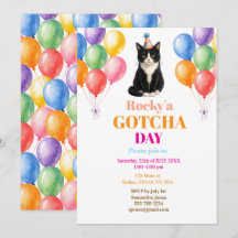 Gotcha-Tag Adoptionsparty Anzugkatze Haustier