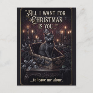 Goth Schwarze Katze in einem Sarg mit lustigem Wei Postkarte