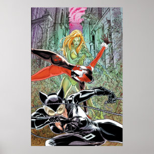 Gotham City Sirens Cv11 Poster