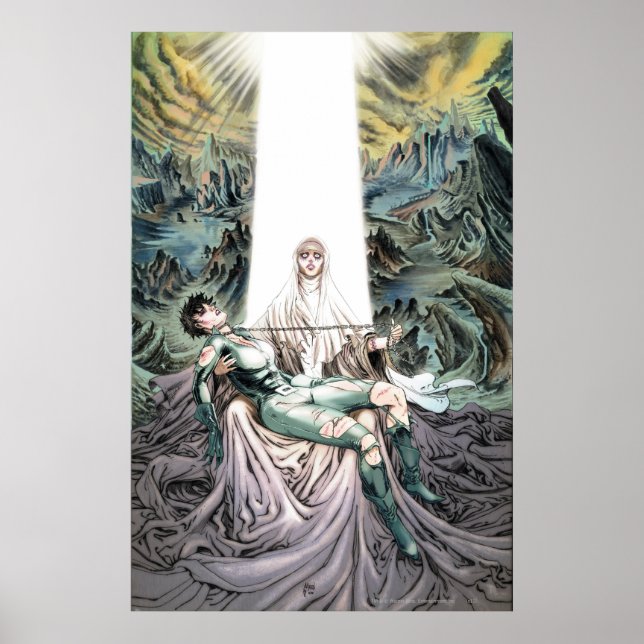 Gotham City Sirens Cv13 Poster (Vorne)