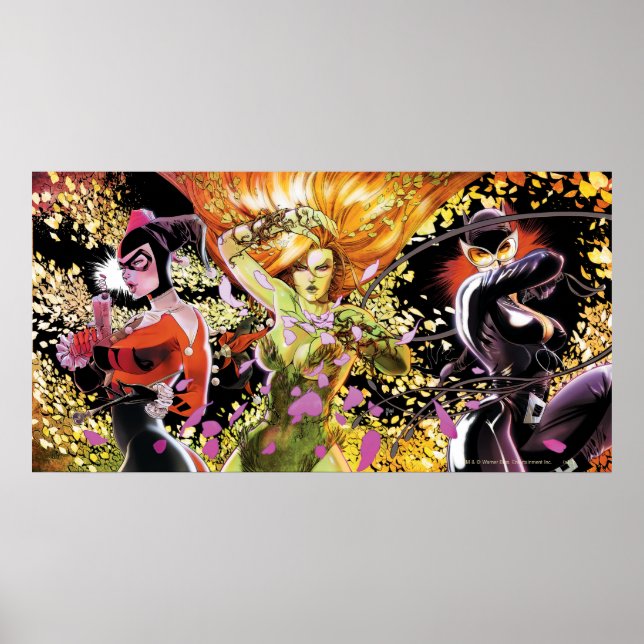 Gotham City Sirens Cv5-6-7 Poster (Vorne)