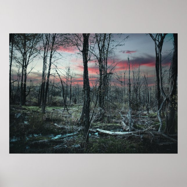 Gothic Art Gloomy Swampland Forest Poster (Vorne)