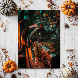 Gothic Black Cat Friedhof Grusel Halloween Postkarte