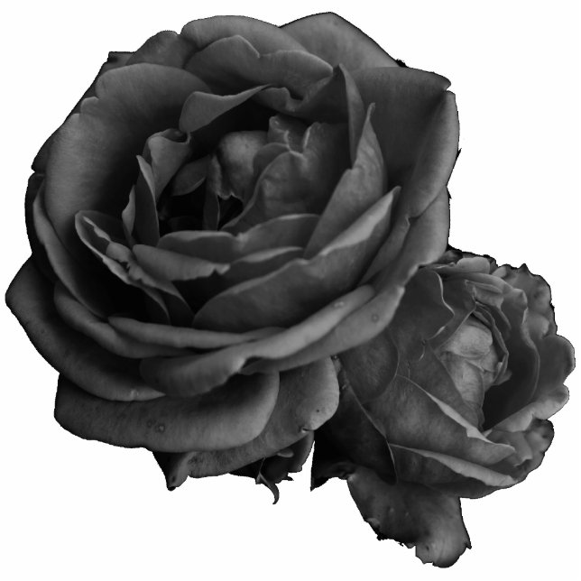 Gothic Black Rose Freistehende Fotoskulptur (Vorne)