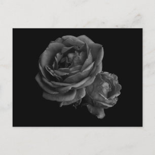 Gothic Black Rose Postkarte