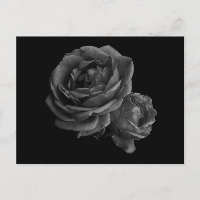 Gothic Black Rose Postkarte (Vorderseite)