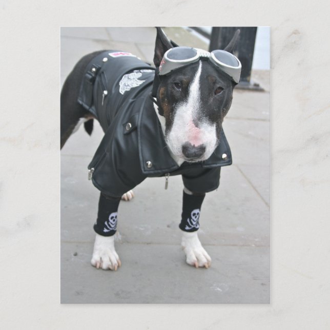 Gothic Bulldog Post Card Postkarte (Vorderseite)