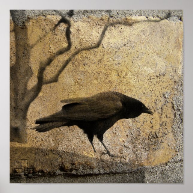 Gothic Caw Poster (Vorne)
