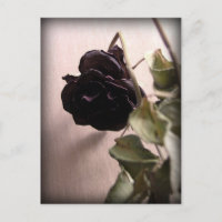 Gothic Dead Rose