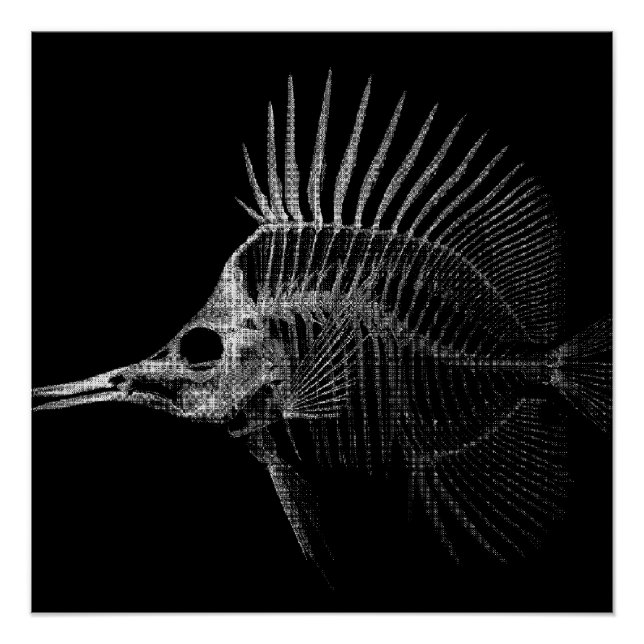 Gothic Fish Skeleton X-Ray Poster (Vorderseite)