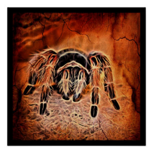 Gothic Halloween Kribbelspinne Tarantula Poster