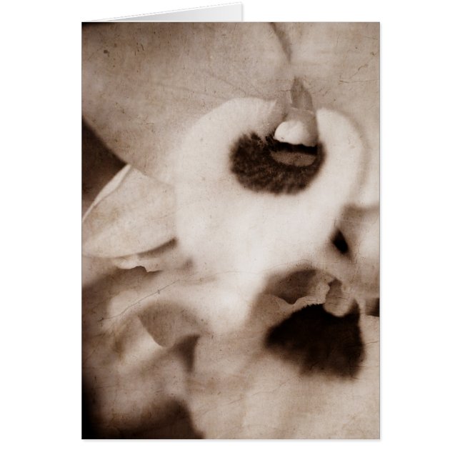 Gothic Orchid - Karte (Vorne)