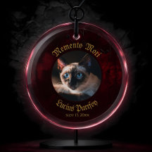 Gothic Red Magic Symbols Cat Photo Memorial