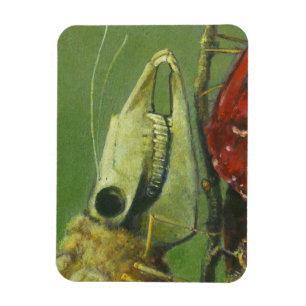 Gothic Surreal Moth Flexible Magnet